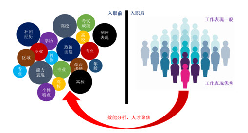 效能分析,人才聚焦 效能分析,人才聚焦