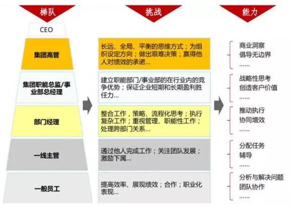 GENE每个层级的胜任力 GENE每个层级的胜任力