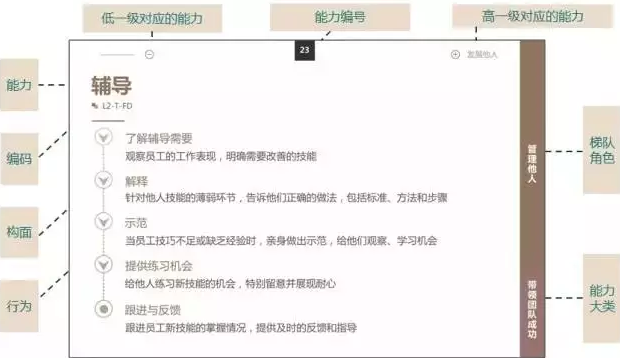 胜任力模型GENE3.0 胜任力模型GENE3.0