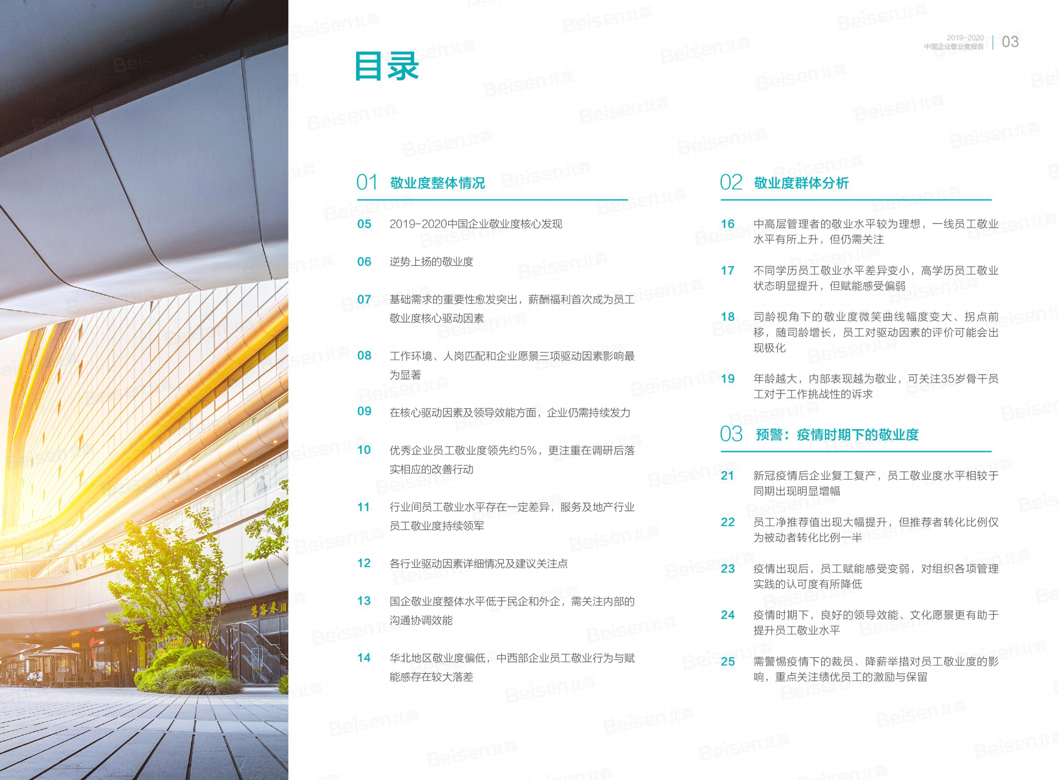 报告目录