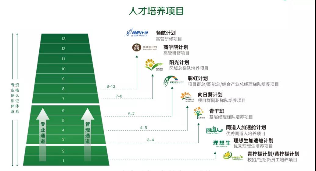 人才培养项目 人才培养项目