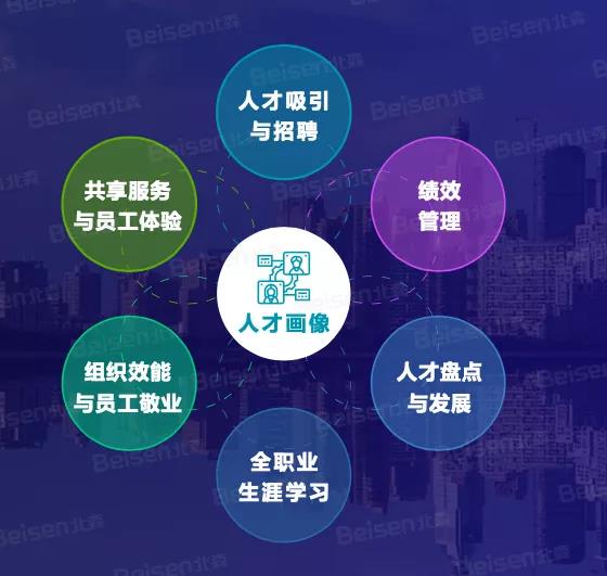 人才画像 人才画像