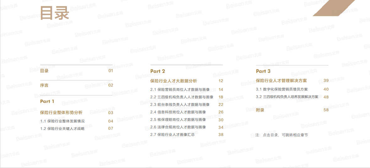 保险行业白皮书目录