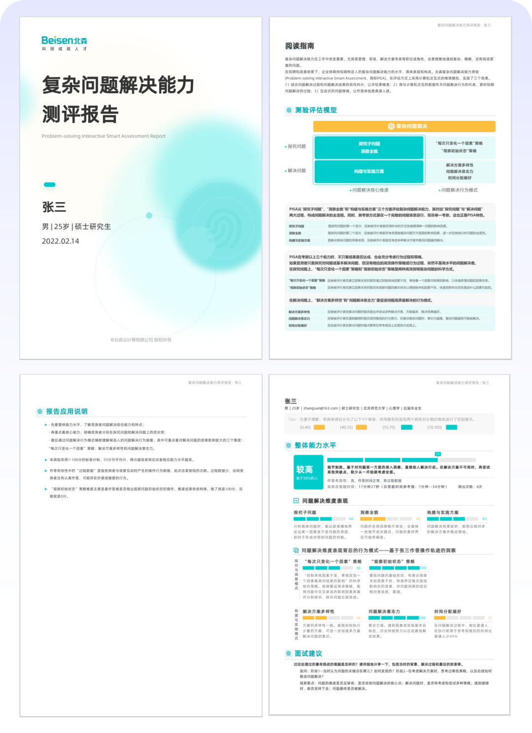 复杂问题解决能力测评报告