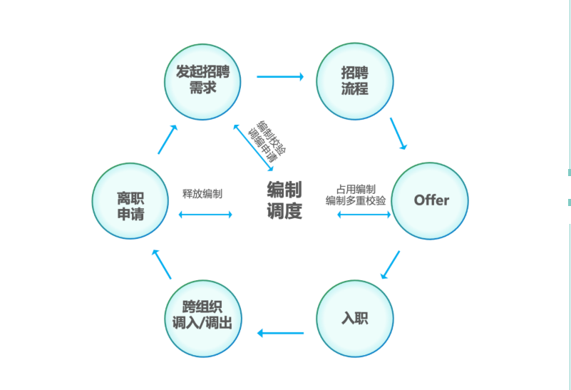 编制管理能力价值 编制管理能力价值