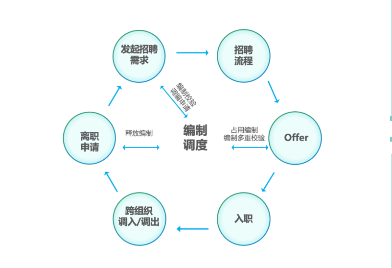 编制管理能力价值