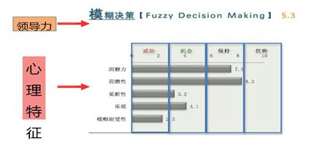 领导力模糊决策