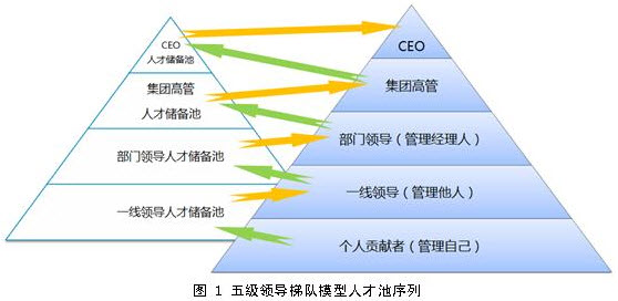 五级领导梯队模型人才池序列