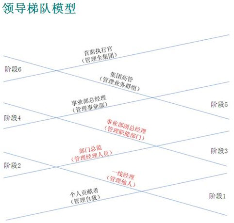 领导梯队模型