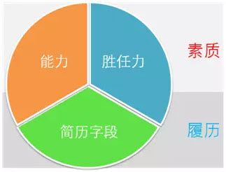 胜任力能力简历字段.jpg 胜任力能力简历字段.jpg