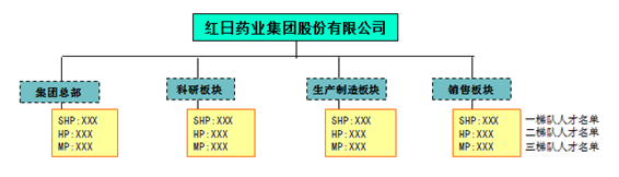 梯队人才架构图