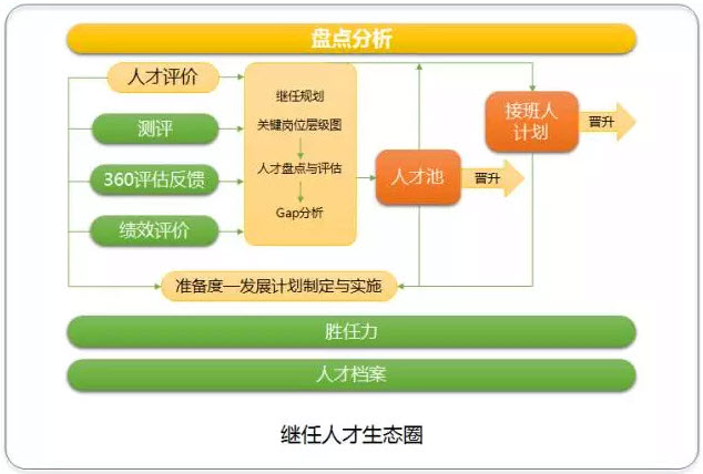 继任人才生态图 继任人才生态图